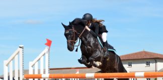 Obstacles Don’t Define You: 7 Ways To Jump That Hurdle Lady riding a horse through an obstacle race