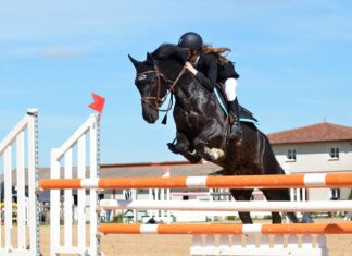 Obstacles Don’t Define You: 7 Ways To Jump That Hurdle Lady riding a horse through an obstacle race