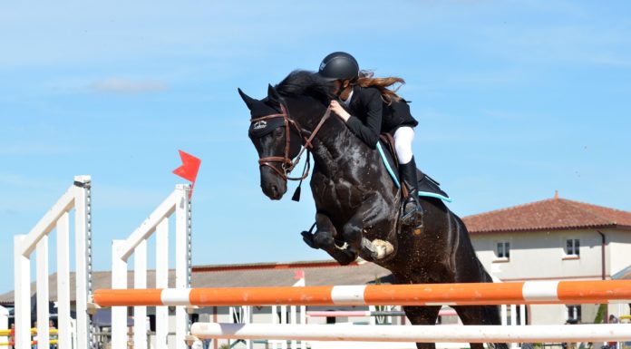 Obstacles Don’t Define You: 7 Ways To Jump That Hurdle Lady riding a horse through an obstacle race