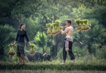 Work, Life And Everything In Between Man and womanfully laughing and working in a farm