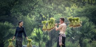 Work, Life And Everything In Between Man and womanfully laughing and working in a farm