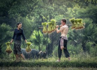Work, Life And Everything In Between Man and womanfully laughing and working in a farm