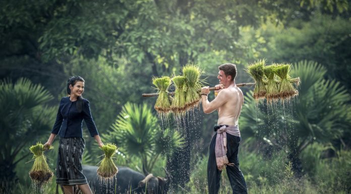 Work, Life And Everything In Between Man and womanfully laughing and working in a farm