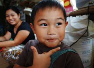 How to be a Volunteer at the United Nations Organisation