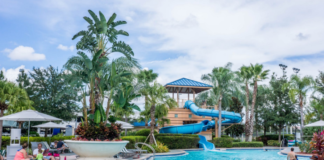 Become A Water Slide Tester And Make A Splash In Cash! water slide tester, water park, fun jobs