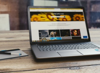 The Scope and Future of Web Development in India future of web development